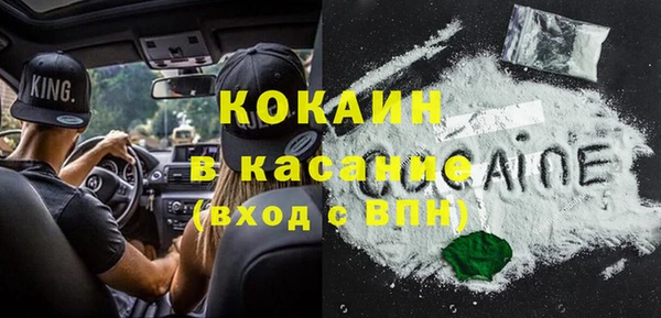 тгк Пересвет