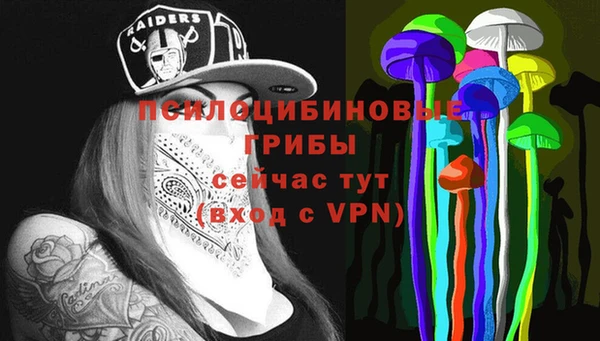 твердый Алзамай