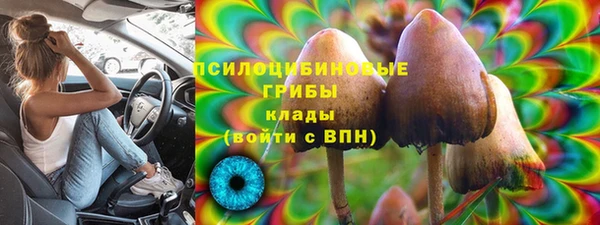 твердый Алзамай