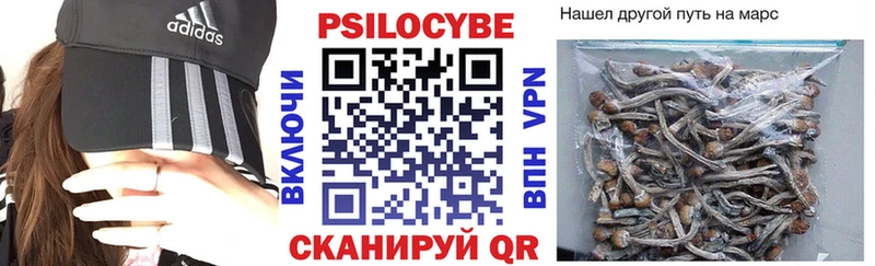 Галлюциногенные грибы Cubensis ОМГ ОМГ рабочий сайт Вышний Волочёк