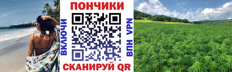 OMG как зайти Вышний Волочёк МАРИХУАНА тримм магазин продажи